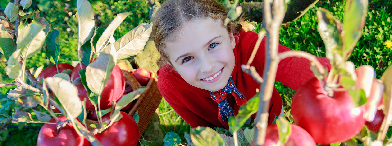 „An Apple a day keeps the doctor away.“ (englisches Sprichwort) - Schon kleine Veränderungen beim Essen haben einen positiven Einfluss auf Ihre Gesundheit.“